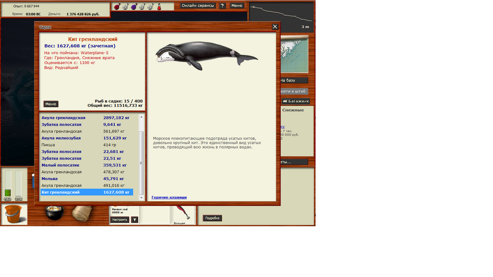 Кит гренладский.png