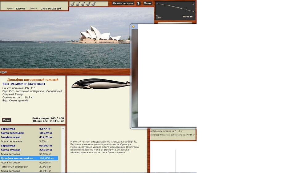 дельфин южный.jpg