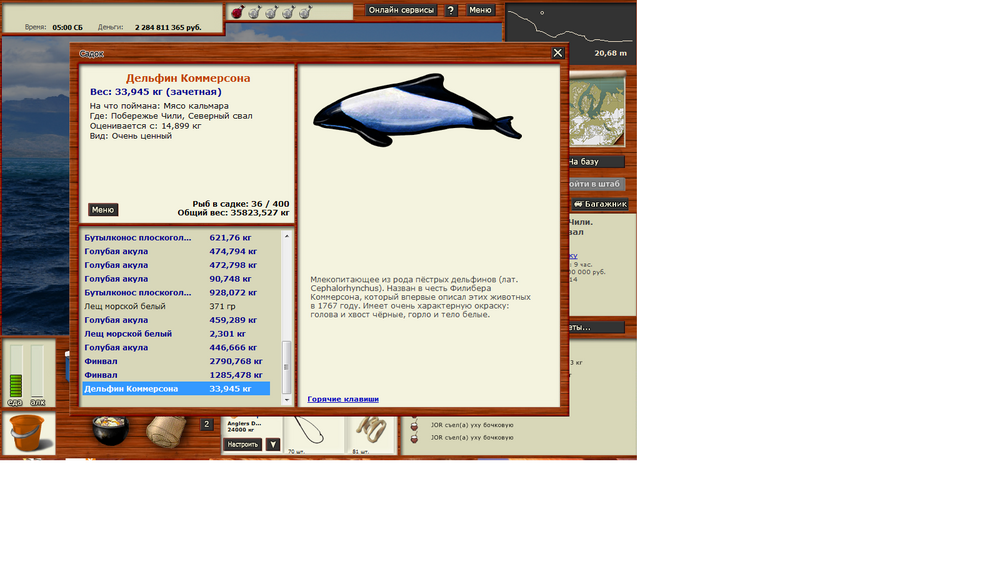 Дельфин Коммерсона.png