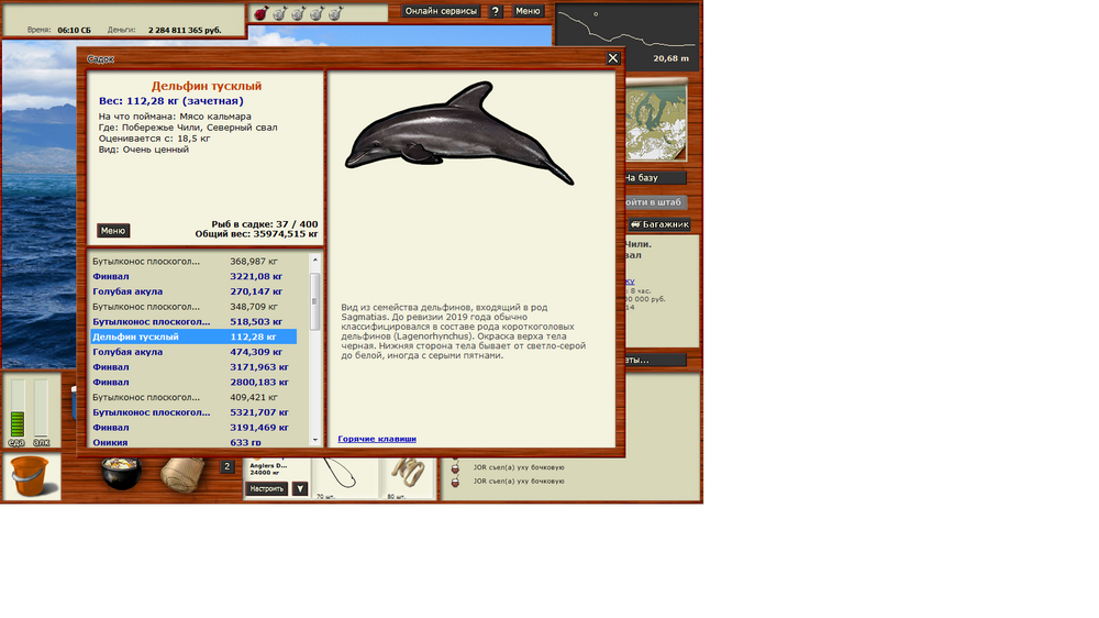 Дельфин тусклый.png