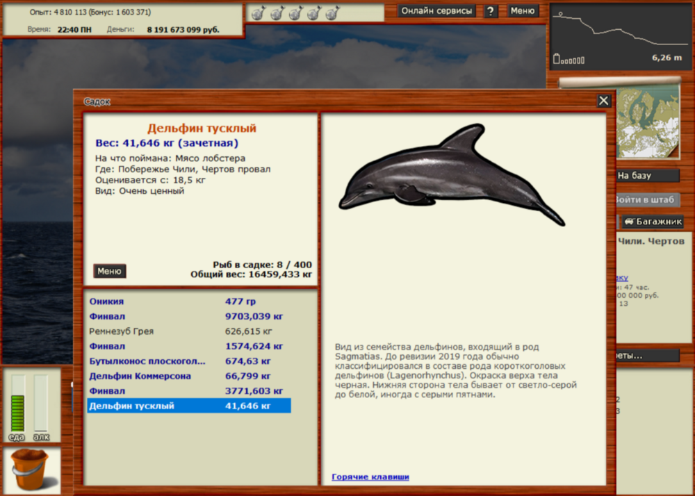 Дельфин тусклый.png