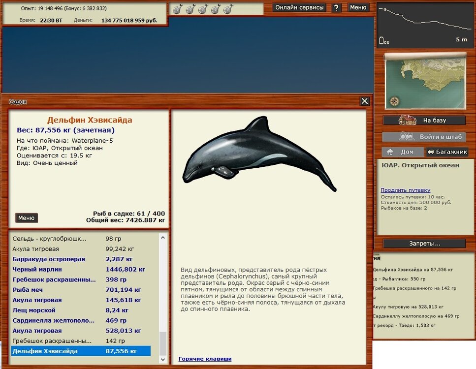 Delfin Hevisaida 2.jpg