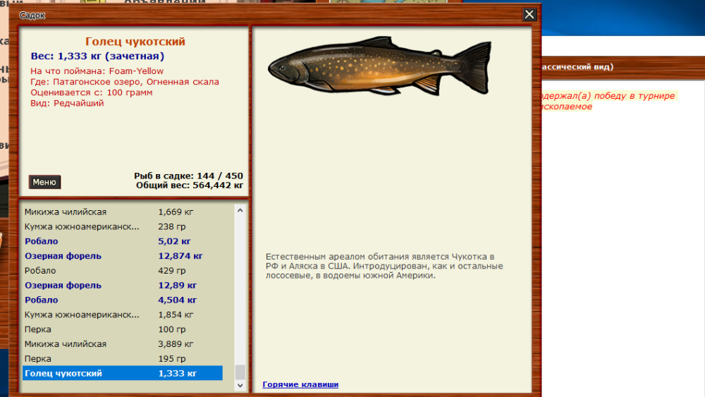 Снимок экрана (2).png