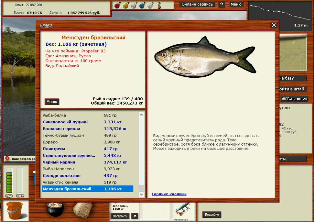 Снимок экрана (16).png