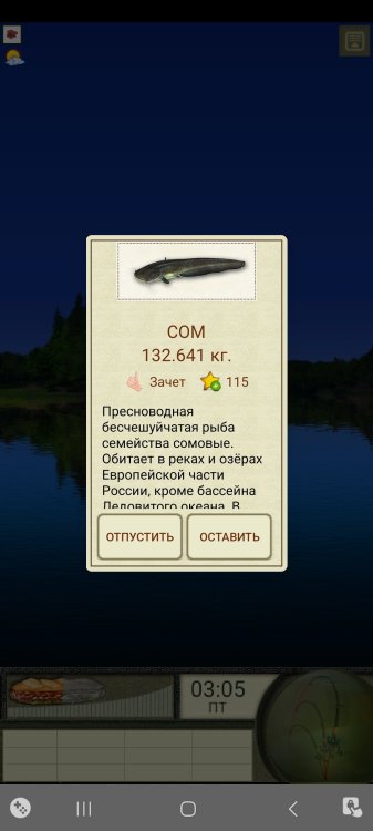 Screenshot_20260409_221653_  .jpg