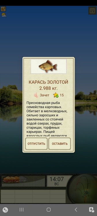 Screenshot_20260610_120308_  .jpg