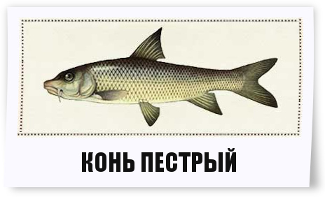 cab66df37b55.jpg