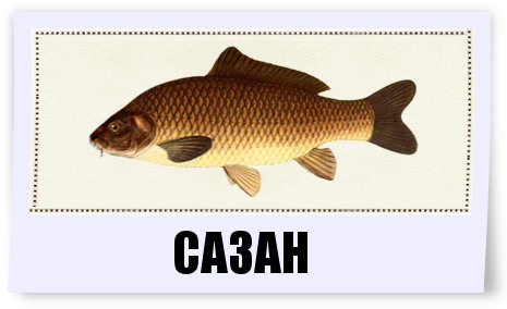 c080688bc8d2.jpg