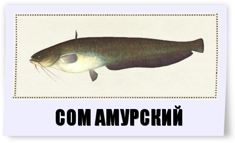 722218d6700f.jpg