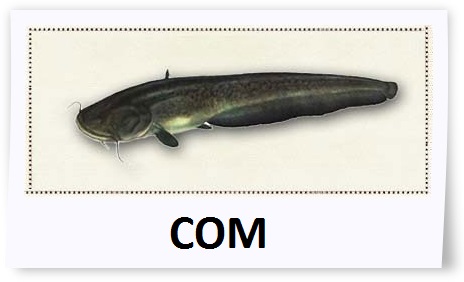 Som.jpg