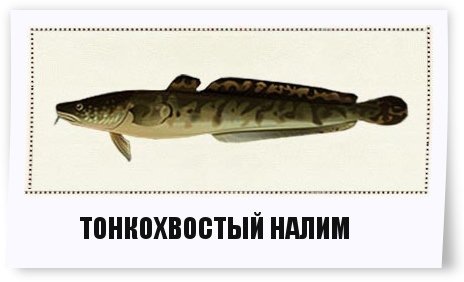 13946f588861.jpg
