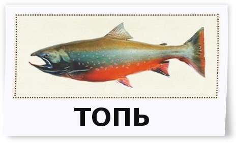 61e83508eabd.jpg